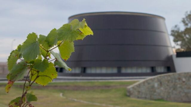 En el Teatrillo del Templo del Vino, en San Martín, se realizará este sábado a partir de las 20 El Picnic del Vino Argentino. Gentileza Municipalidad de San Martín