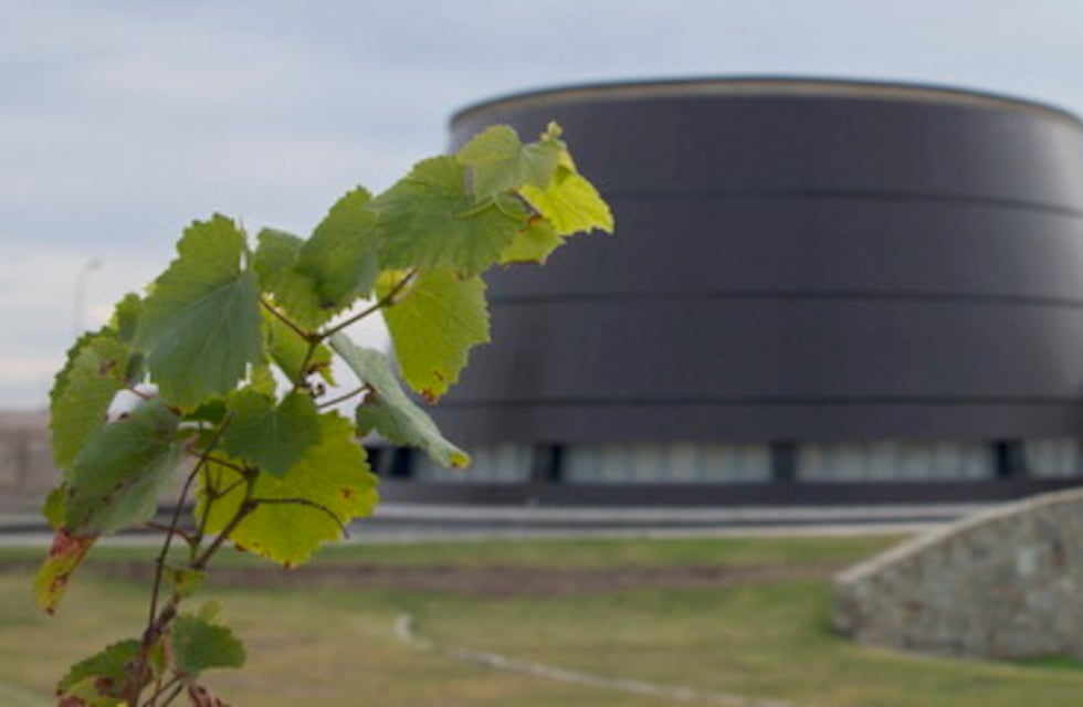En San Martín se realizará el Picnic del Vino Argentino
