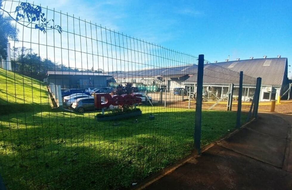 Preocupación en la planta Dass de Eldorado: más de 50 trabajadores recibieron telegramas de despidos