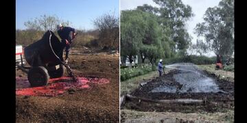 En 2016 la empresa llegó a atravesar períodos de clausura por el irregular tratamiento de sus residuos (izq.). A la derecha, una cuna de lombrices, etapa final del tratamiento de residuos sólidos (2022).