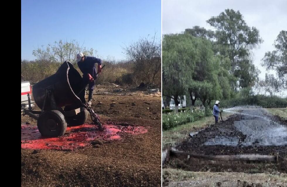 Publicación científica destacó proyecto ambientalista de profesionales jujeñas