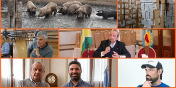 Resumen Vía Tres Arroyos