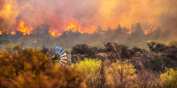 Los incendios arrasaron con gran parte de la provincia de Córdoba entre agosto y septiembre de 2024.