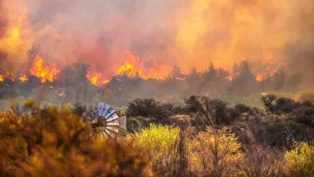 Los incendios arrasaron con gran parte de la provincia de Córdoba entre agosto y septiembre de 2024.