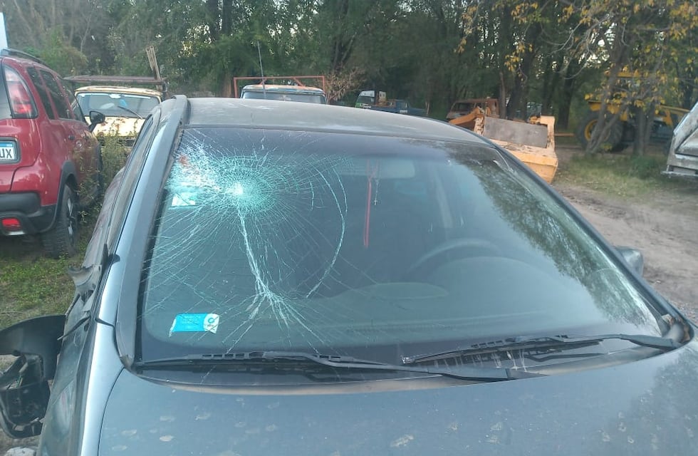 Accidentes por caballos sueltos en la ruta, una problemática que preocupa