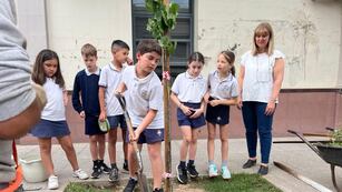 Promoción del arbolado urbano