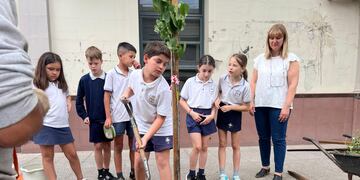 Promoción del arbolado urbano