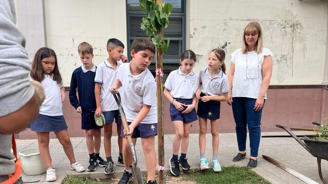 Promoción del arbolado urbano