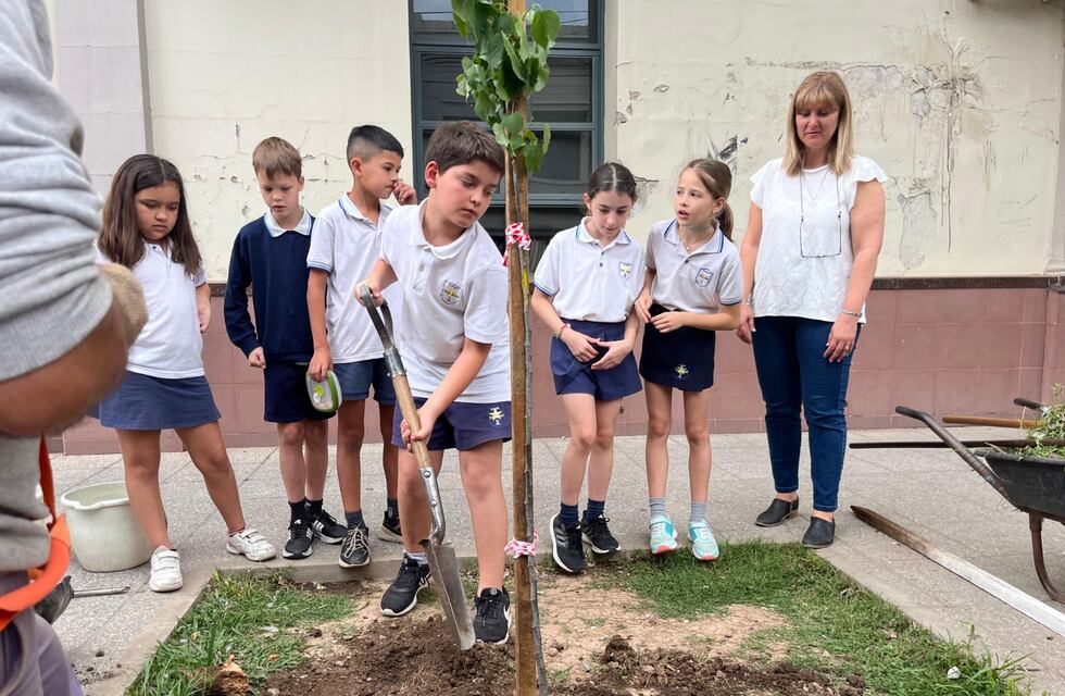 Trabajo articulado para promover el arbolado urbano