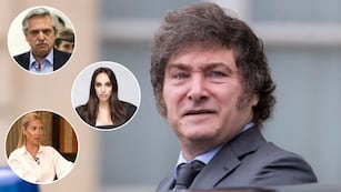 “Violento e infiel”: Milei destrozó a Alberto Fernández, señaló como cómplice a Fabiola Yáñez y criticó a Tamara Pettinato