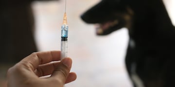 Vacuna contra la rabia ¡