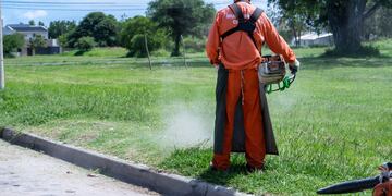 Presentaron en Arroyito acciones que se llevan adelante para combatir el dengue
