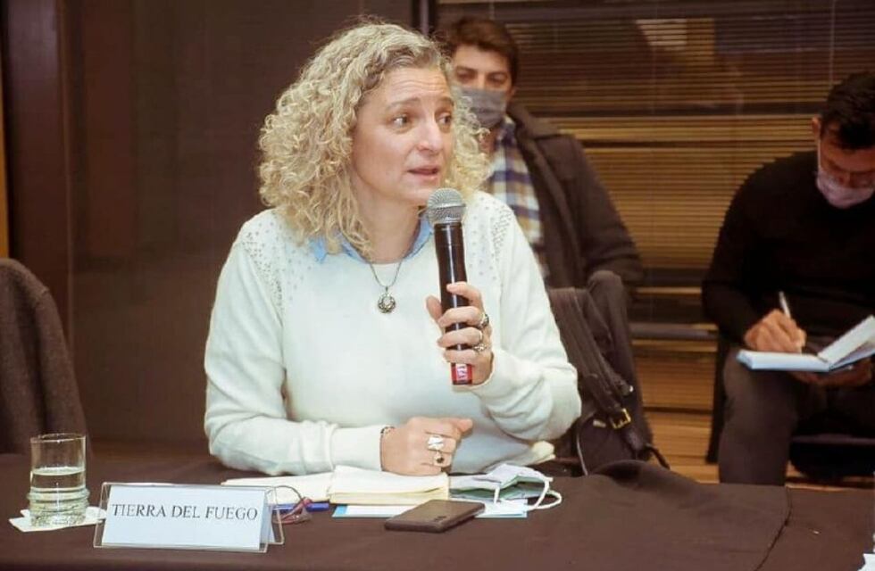 Álvarez: “repudiamos categóricamente el accionar de la tripulación del velero y estamos haciendo gestiones para identificar a los responsables”