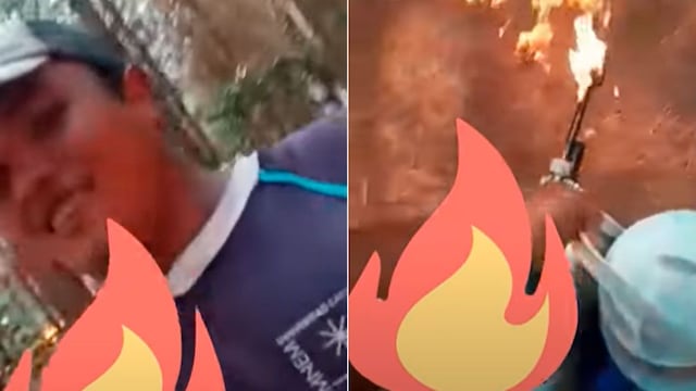 Incendió un bosque en Corrientes.