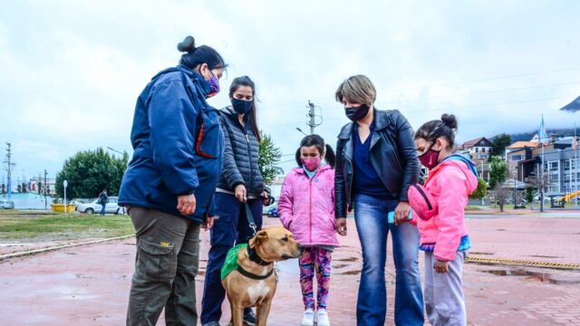 Jornada de concientización para tenencia responsable de mascotas.