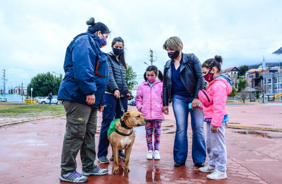 Zoonosis realizó otra jornada de concientización para tenencia responsables de mascotas