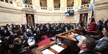 Sin apoyo del oficialismo, el Senado aprobó declarar la emergencia nacional por los incendios