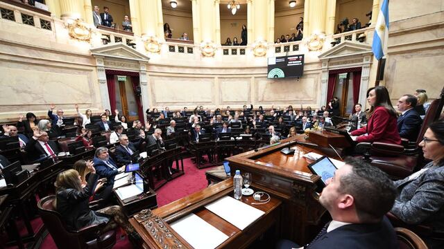 Sin apoyo del oficialismo, el Senado aprobó declarar la emergencia nacional por los incendios