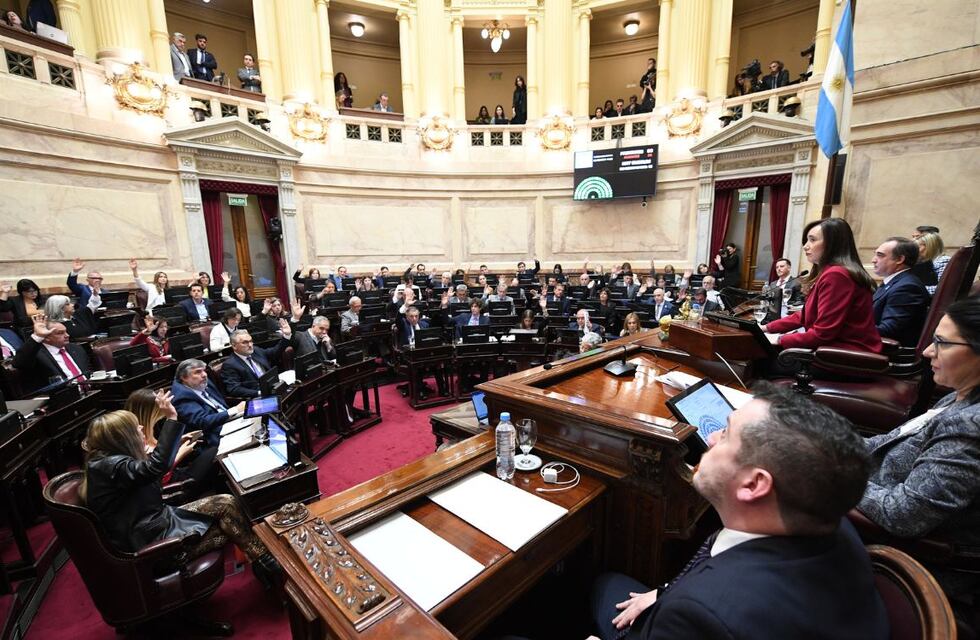 Sin apoyo del oficialismo, el Senado aprobó declarar la emergencia nacional por los incendios