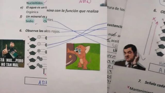 Los memes de la maestra concordiense.