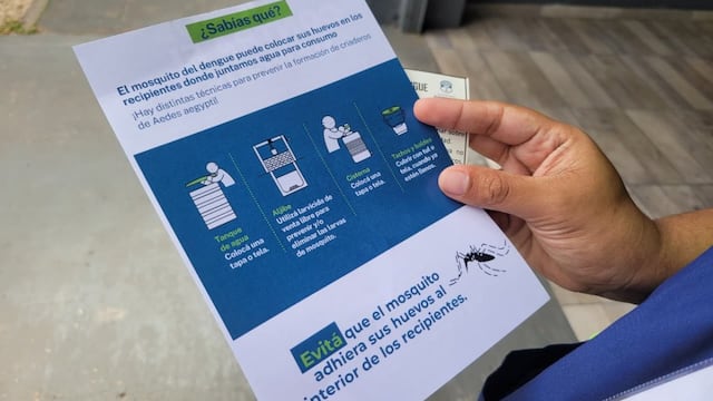 Dengue: campaña de prevención