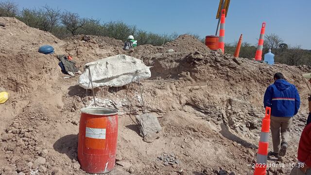 Restos fósiles en Punilla