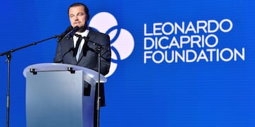 Desde 1998, Leonardo DiCaprio preside su propia fundación.