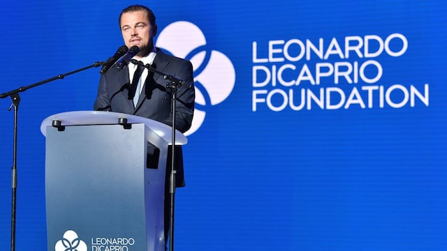 Desde 1998, Leonardo DiCaprio preside su propia fundación.