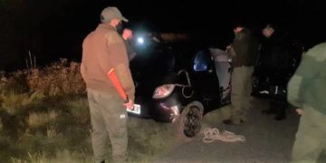 Trasladaban terneros faenados.