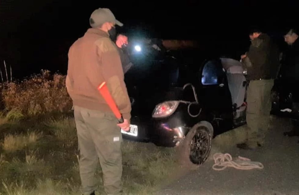 Trasladaban terneros faenados ilegalmente y se fugaron de un control policial