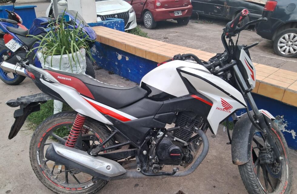 Tremendo “emprendimiento”: contaban la plata con una máquina, era un desarmadero ilegal