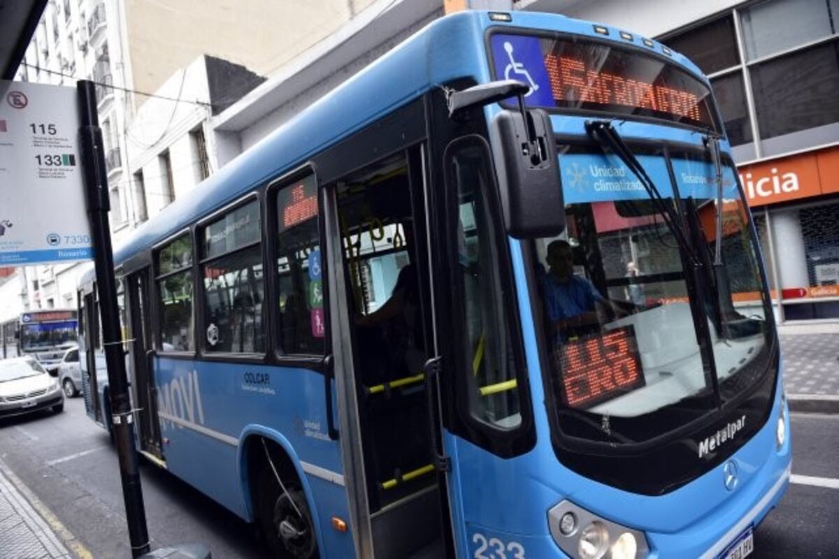 El municipio adelantó que podría sumar una nueva patente\u002E (La Capital)