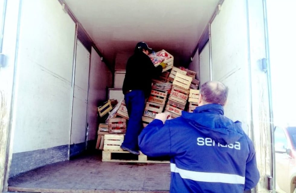 Importante decomiso de mejillones, frutas y hortalizas