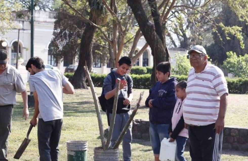 Vandalismo: arrancaron más de 50 arbolitos en el Parque 9 de Julio