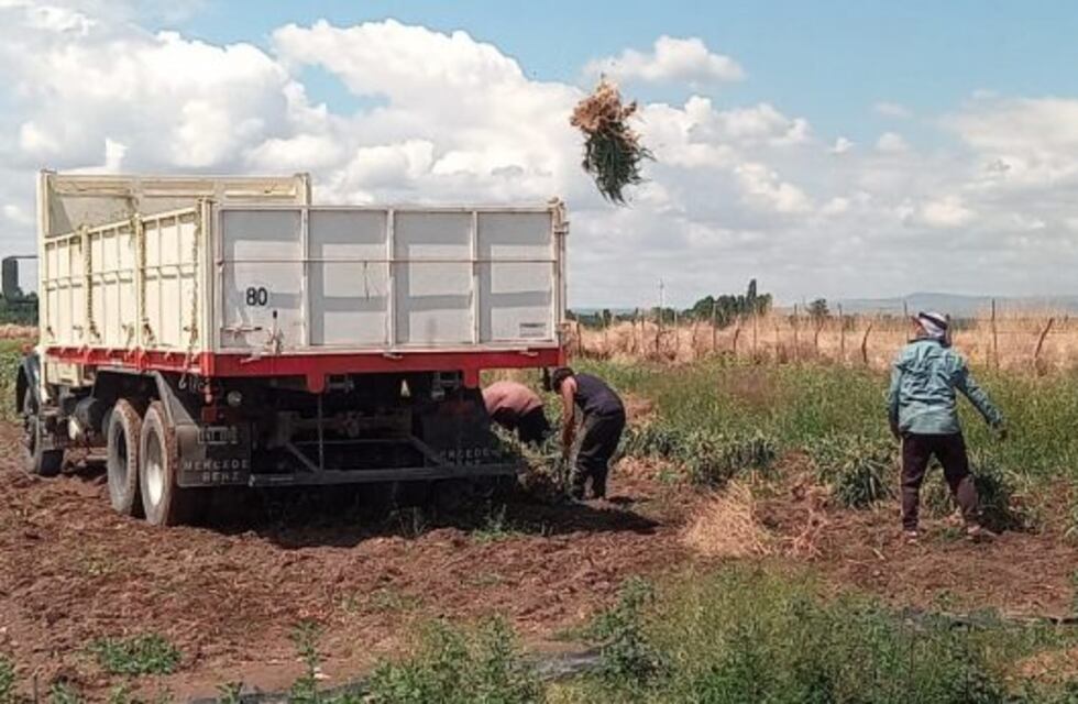 Inician las capacitaciones del programa Reinventa