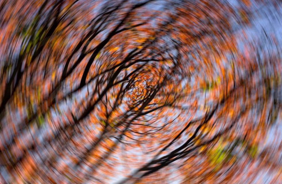 Mareos y vértigo: todo gira a mi alrededor