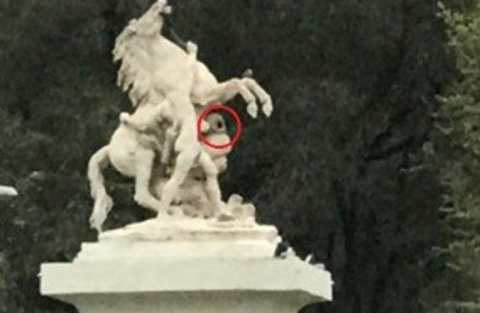 Polémica habitacional, hay 'casas' de horneros sobre los Caballitos de Marly