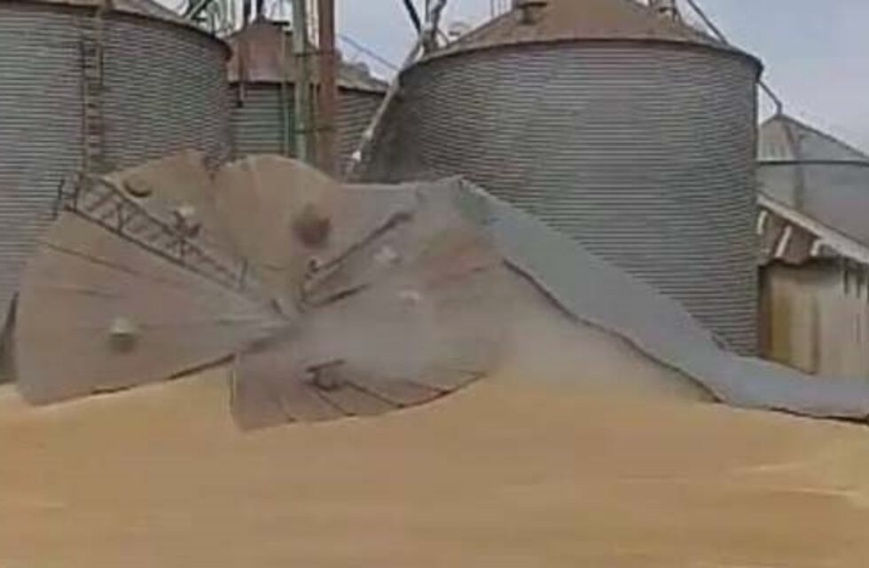 ¡De película! Se desplomó un silo en Campos Salles y los empleados captaron la escena