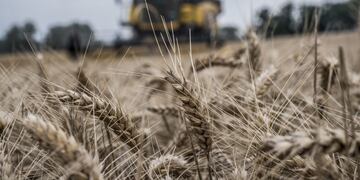 Campo en Córdoba\u002E