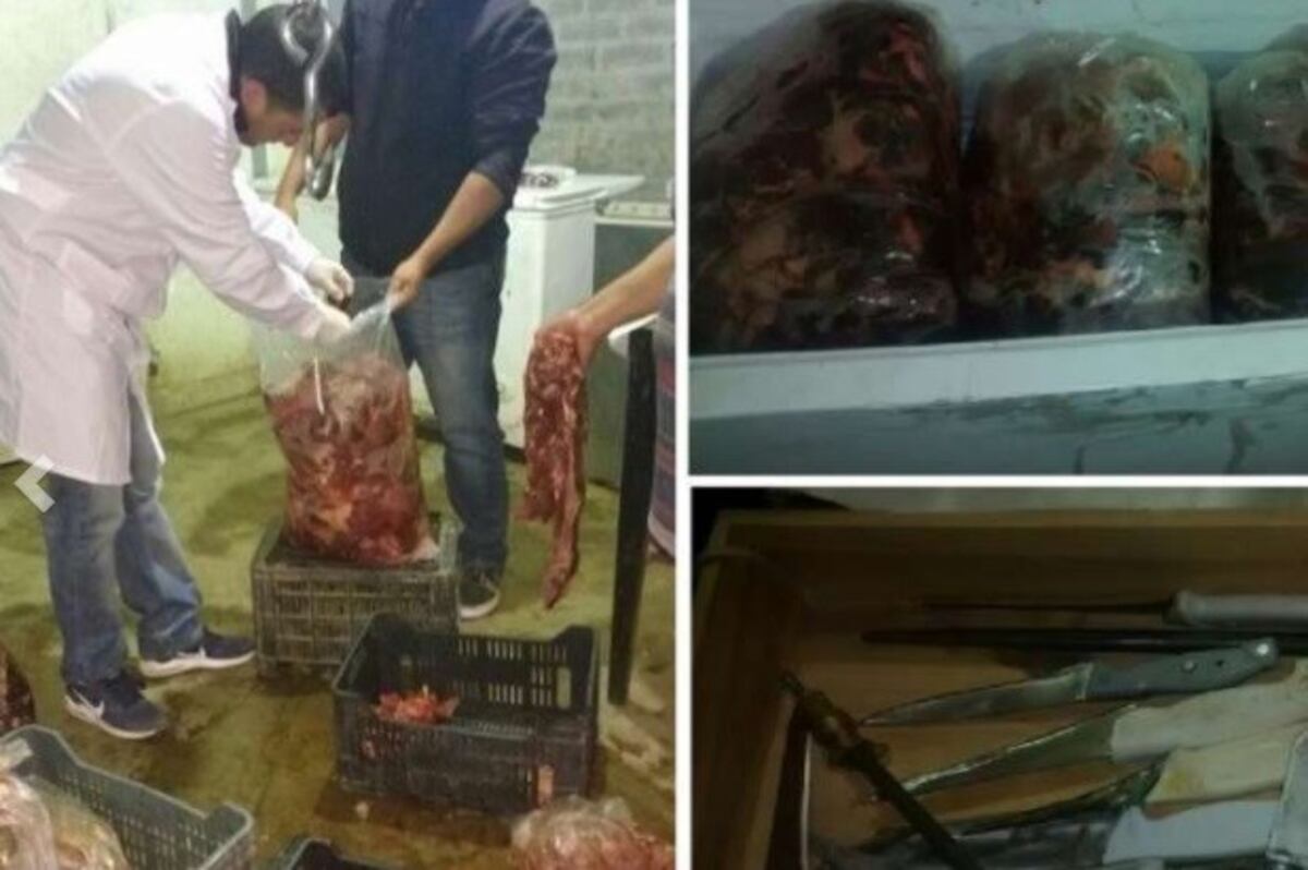 Seis personas fueron detenidas acusadas de robar y faenar caballos en un barrio de Guaymallén