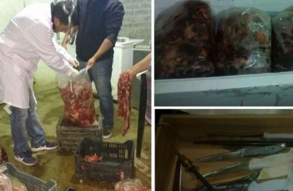 Cuatreros fueron atrapados con una tonelada de carne de caballo