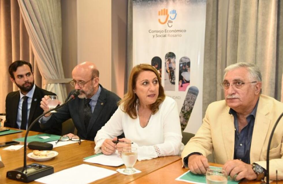 Fein negó "presiones" y adujo "falta de seriedad" en el debate para prohibir el glifosato