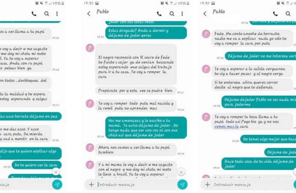 "Te voy a esperar, anda con tu papá que quiero pelear": los mensajes que Schanderl envió a su ex antes de matar a Skeppstedt