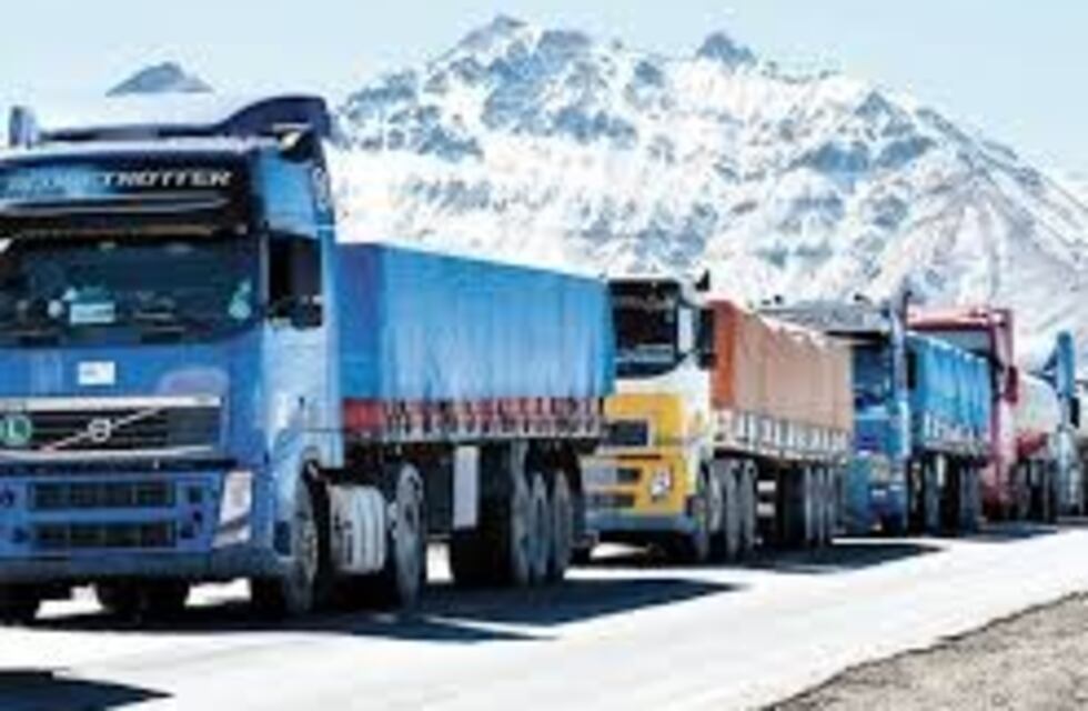 Piden extremar controles a camiones que llevan granos a Chile para evitar la gripe aviar