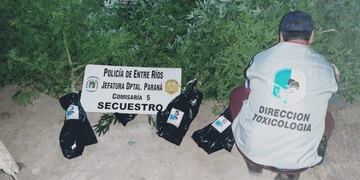 Secuestro marihuana Paraná