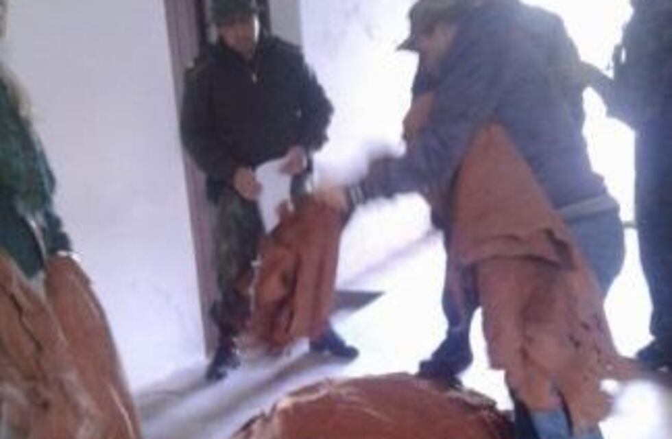 Secuestran más de 1200 cueros de carpinchos en dos talleres clandestinos