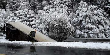 El camión cayó por el puente Pereyra II cuando intentaba cruzar a Chile\u002E