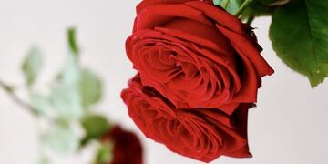 Día de los enamorados
