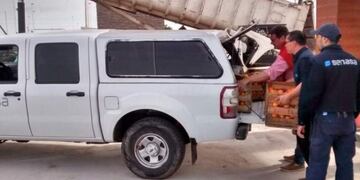 Prohíben el ingreso de cítricos en el Noroeste Argentino (Foto: El Esquiú)