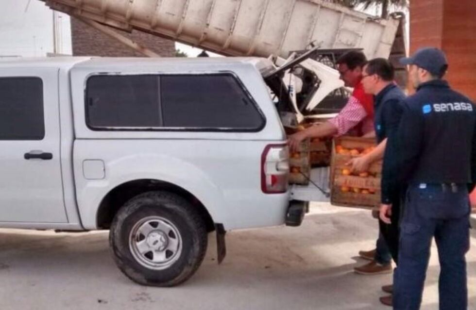 Prohíben el ingreso de cítricos en el Noroeste Argentino